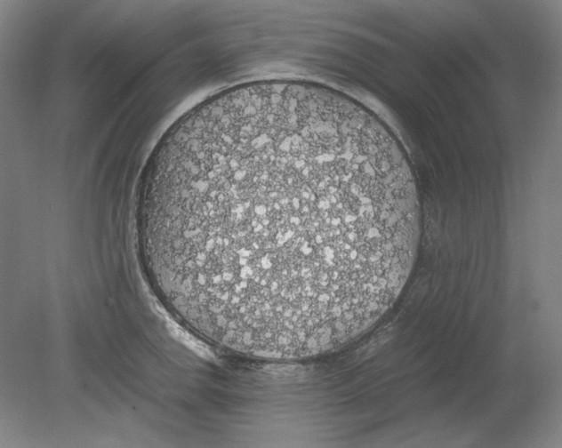 X0000080731142200701021113