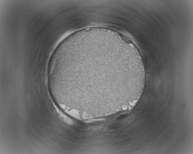 X0000080731143200701021113