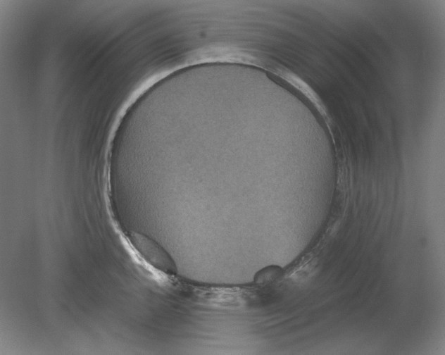 X0000080731144200701021113