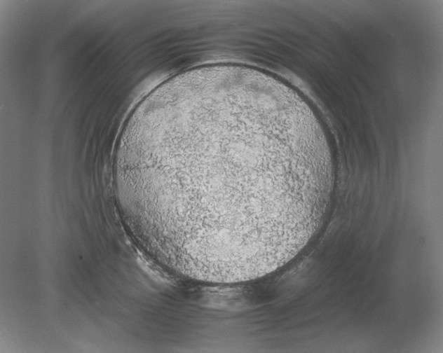 X0000080731145200701021113