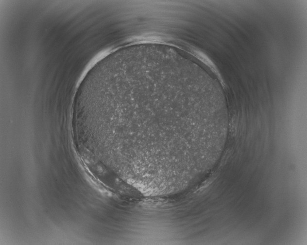 X0000080731146200701021113