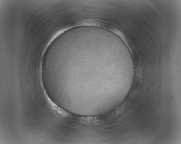 X0000080731147200701021113