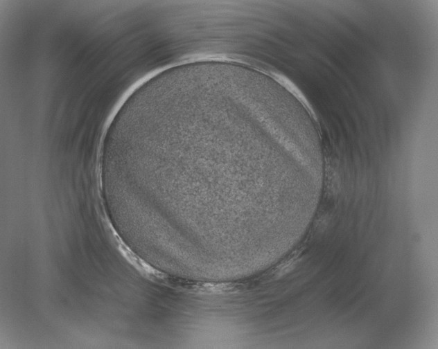 X0000080731148200701021113