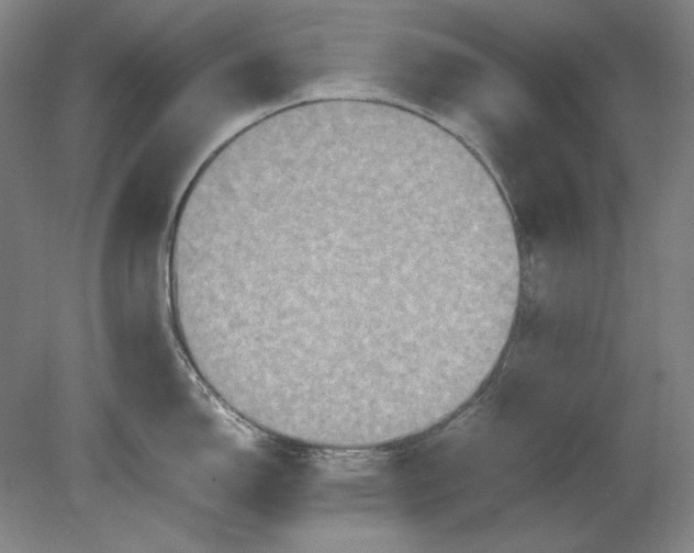 X0000080731150200701021113