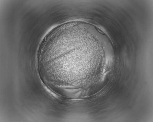 X0000080731151200701021113