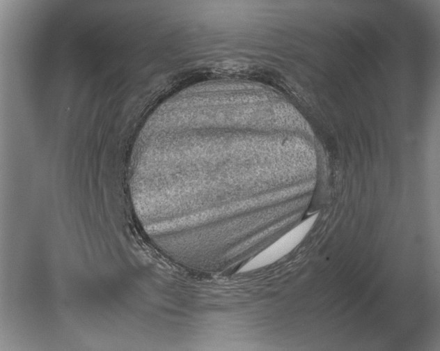 X0000080731153200701021113