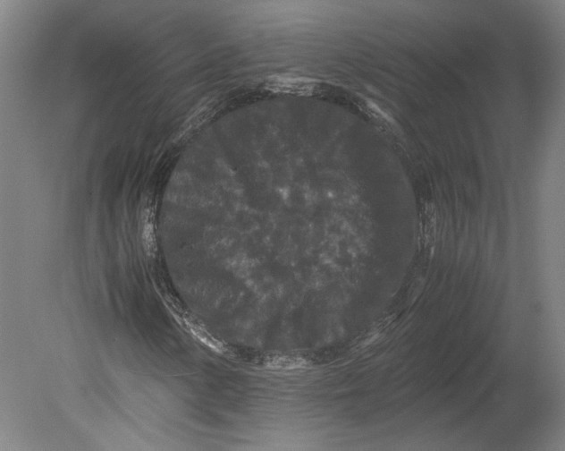 X0000080731154200701021113