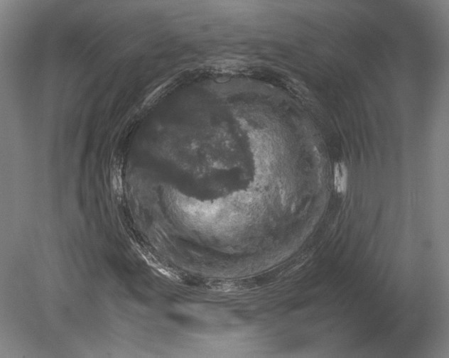 X0000080731155200701021113