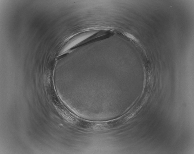 X0000080731161200701021112