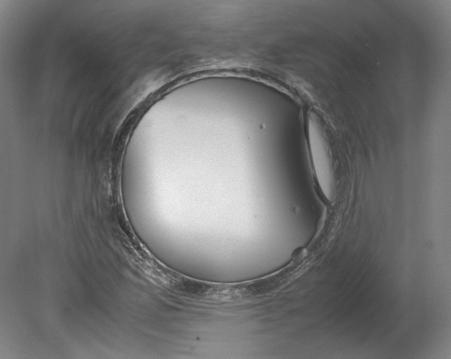 X0000080731165200701021112