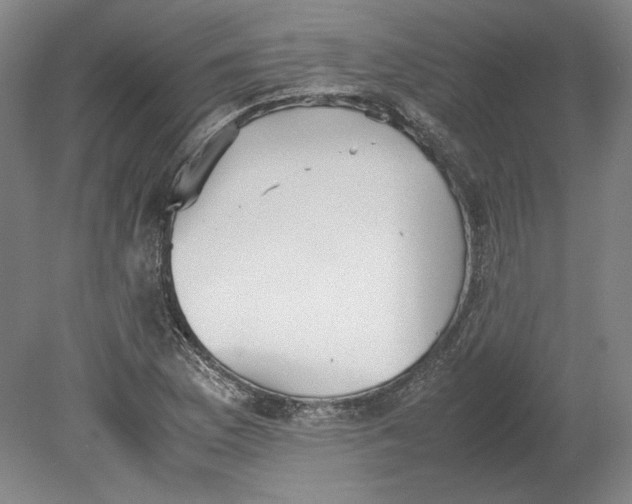 X0000080731169200701021112