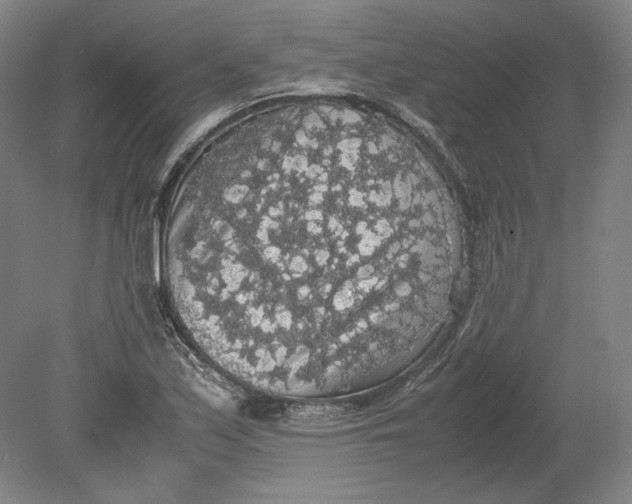 X0000080731171200701021112