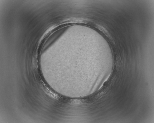 X0000080731172200701021112