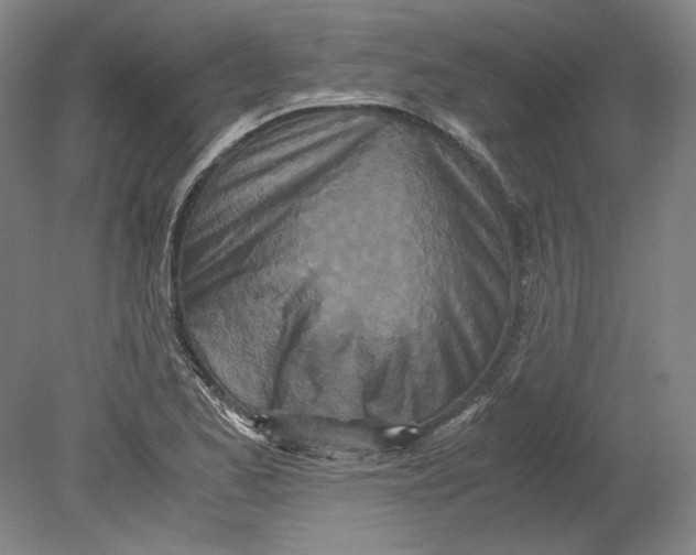 X0000080731173200701021112