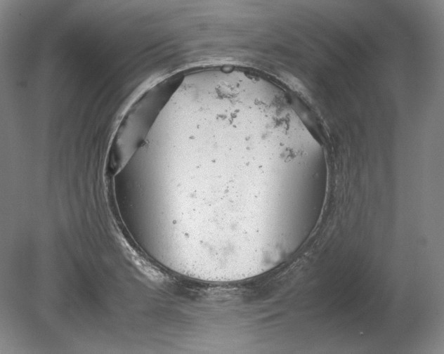 X0000080731181200701021112