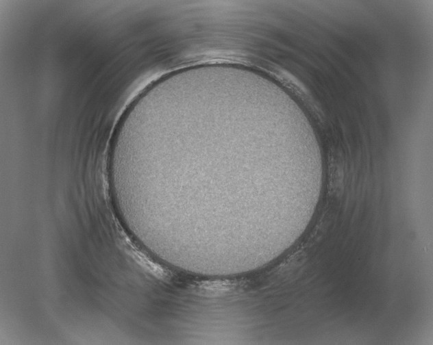 X0000080731182200701021112