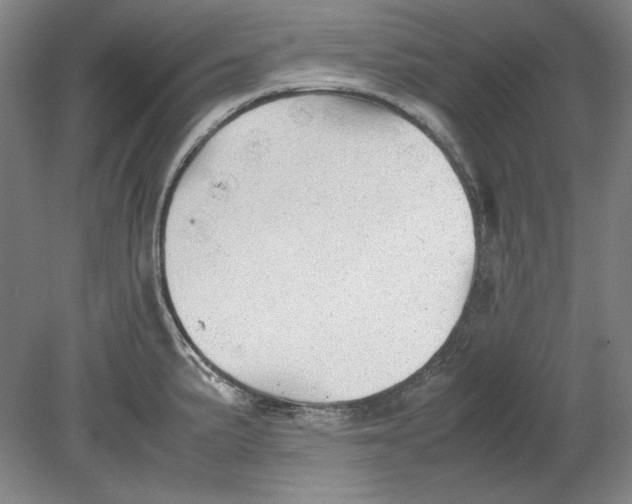 X0000080731191200701021112