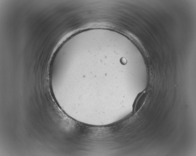 X0000080731192200701021112