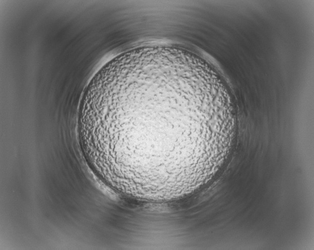 X0000080731194200701021112