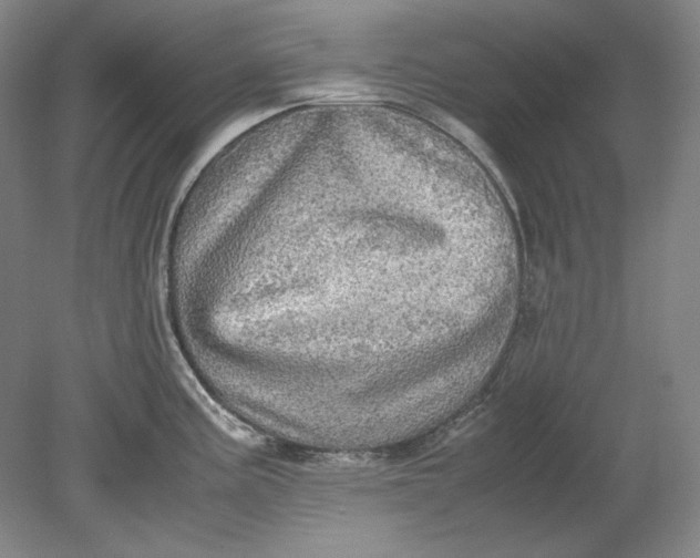 X0000080731195200701021112