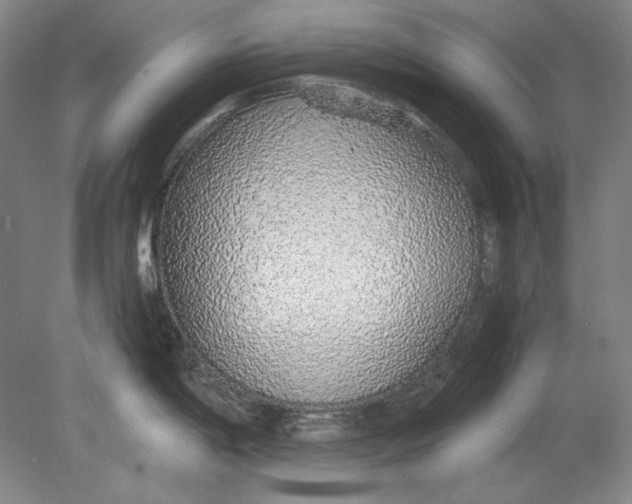 X0000080731198200701021112