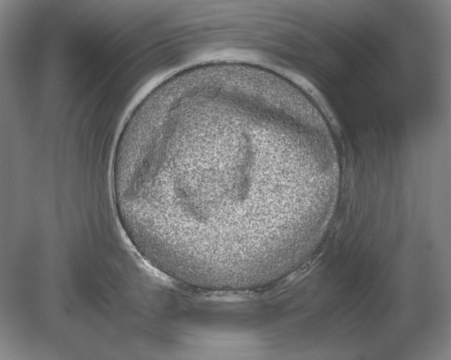 X0000080731199200701021112