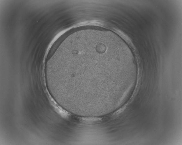 X0000080731200200701021112