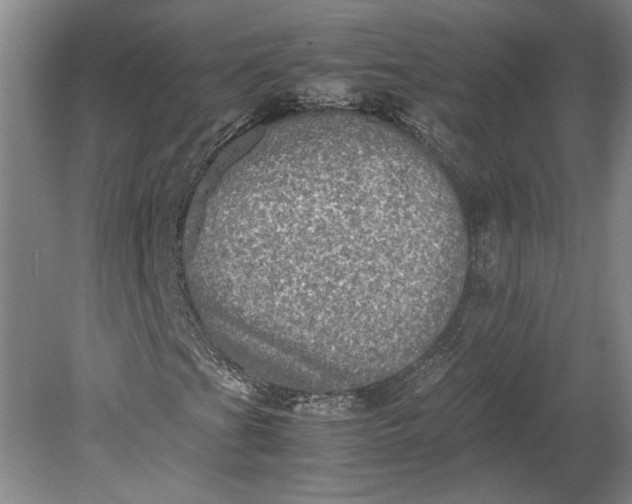 X0000080731201200701021111