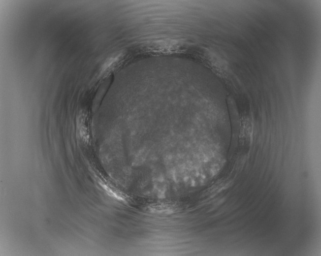 X0000080731202200701021111