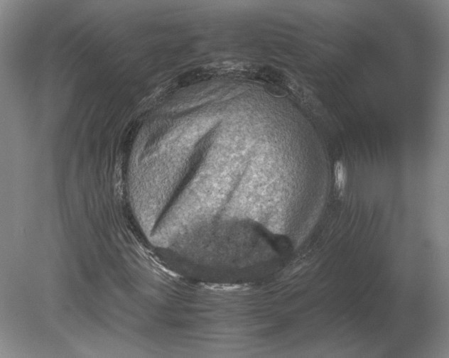 X0000080731203200701021111