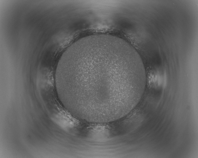 X0000080731204200701021111