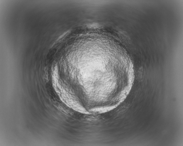 X0000080731205200701021111