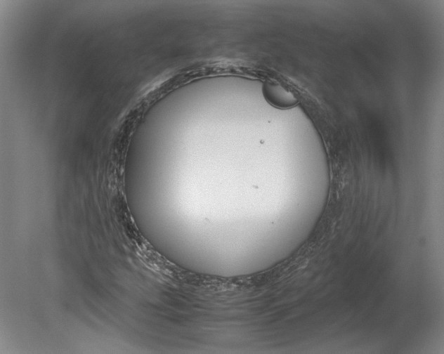 X0000080731207200701021111