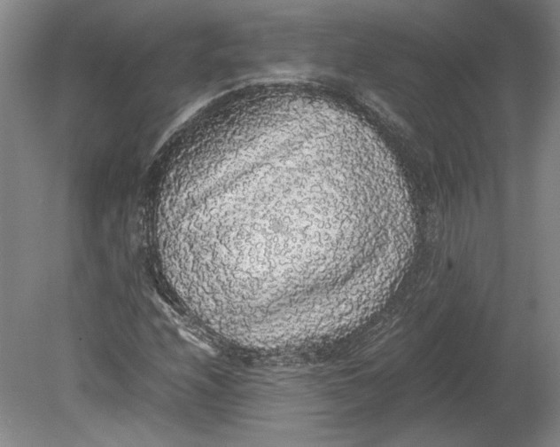 X0000080731208200701021111