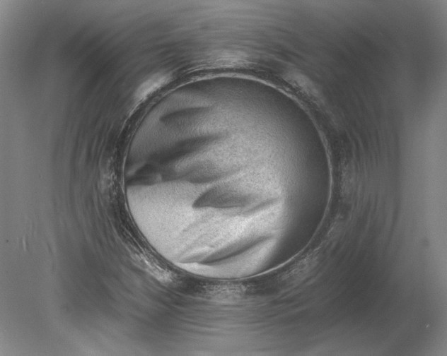 X0000080731210200701021111