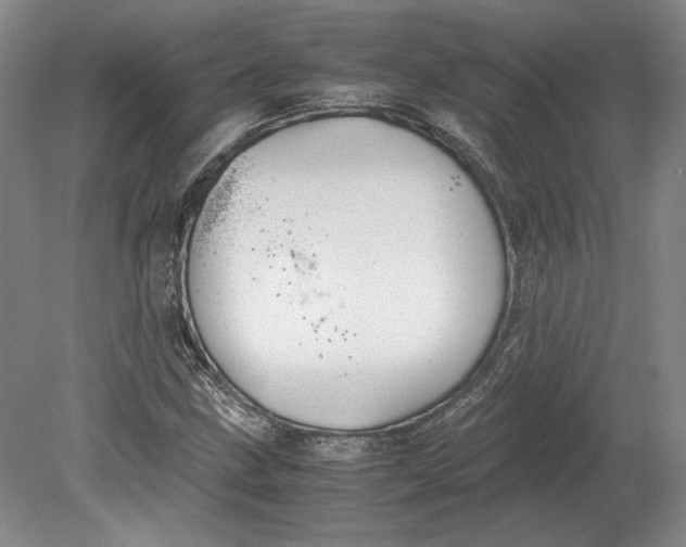 X0000080731211200701021111