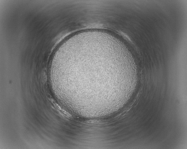 X0000080731212200701021111