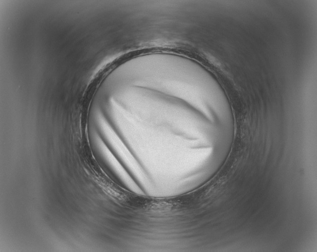 X0000080731214200701021111