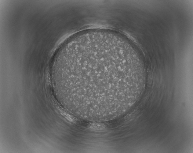 X0000080731215200701021111