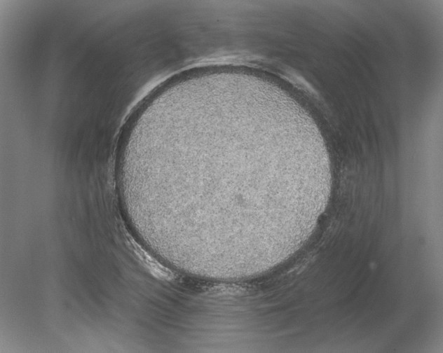 X0000080731216200701021111