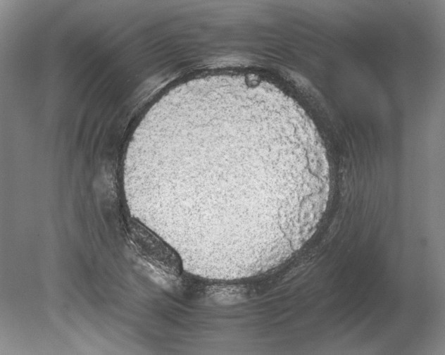 X0000080731217200701021111