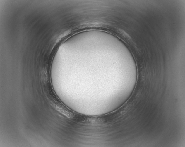 X0000080731218200701021111