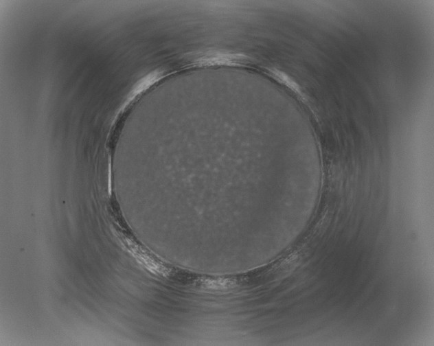 X0000080731219200701021111