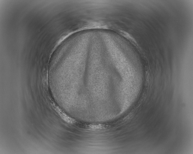 X0000080731220200701021111