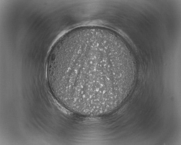 X0000080731224200701021111