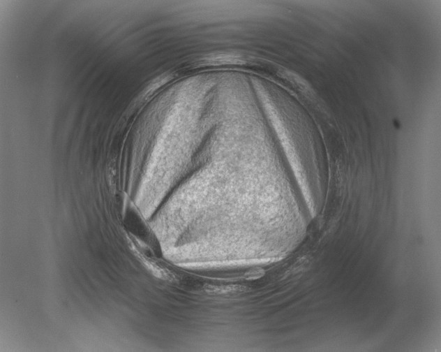 X0000080731225200701021111