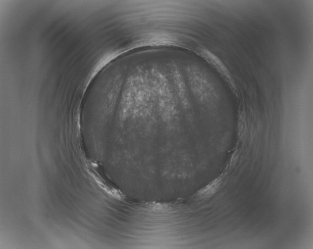 X0000080731226200701021111