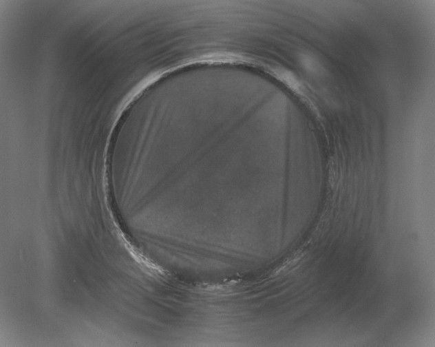 X0000080731229200701021111