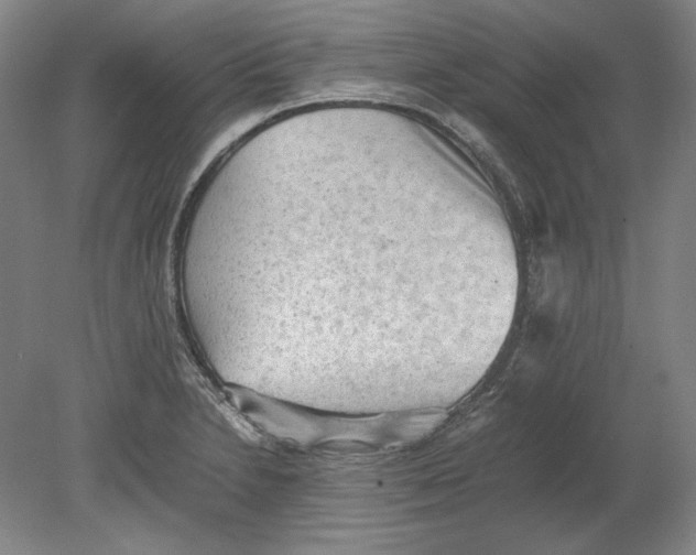 X0000080731230200701021111