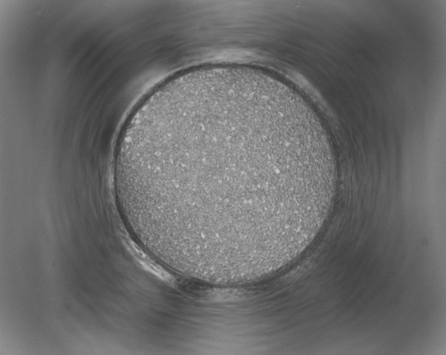 X0000080731232200701021111